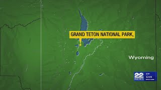 South Hadley man attacked by grizzly bear in Wyoming National Park