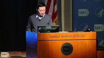 The 3D genome organization and long-range control of gene expression