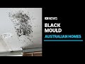 Mould-related illness research could be a 'game changer' | ABC News