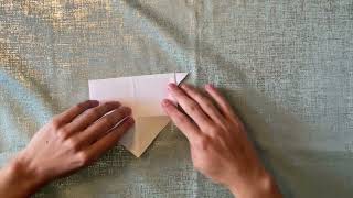 Demonstration speech video cis 110