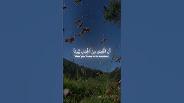 ﴿ وَأَوْحَىٰ رَبُّكَ إِلَى النَّحْلِ }تلاوة خاشعة للشيخ عبد الباسط عبد الصمد #اكسبلور #القرآن_الكريم