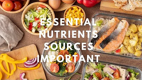 6 Basic Essential Nutrients, their Sources and their Important?