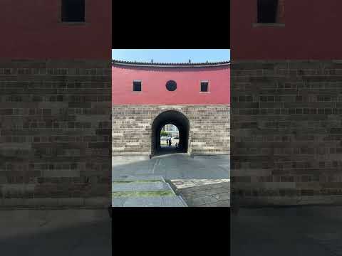 #樹林火車站-台北車站 一直走
