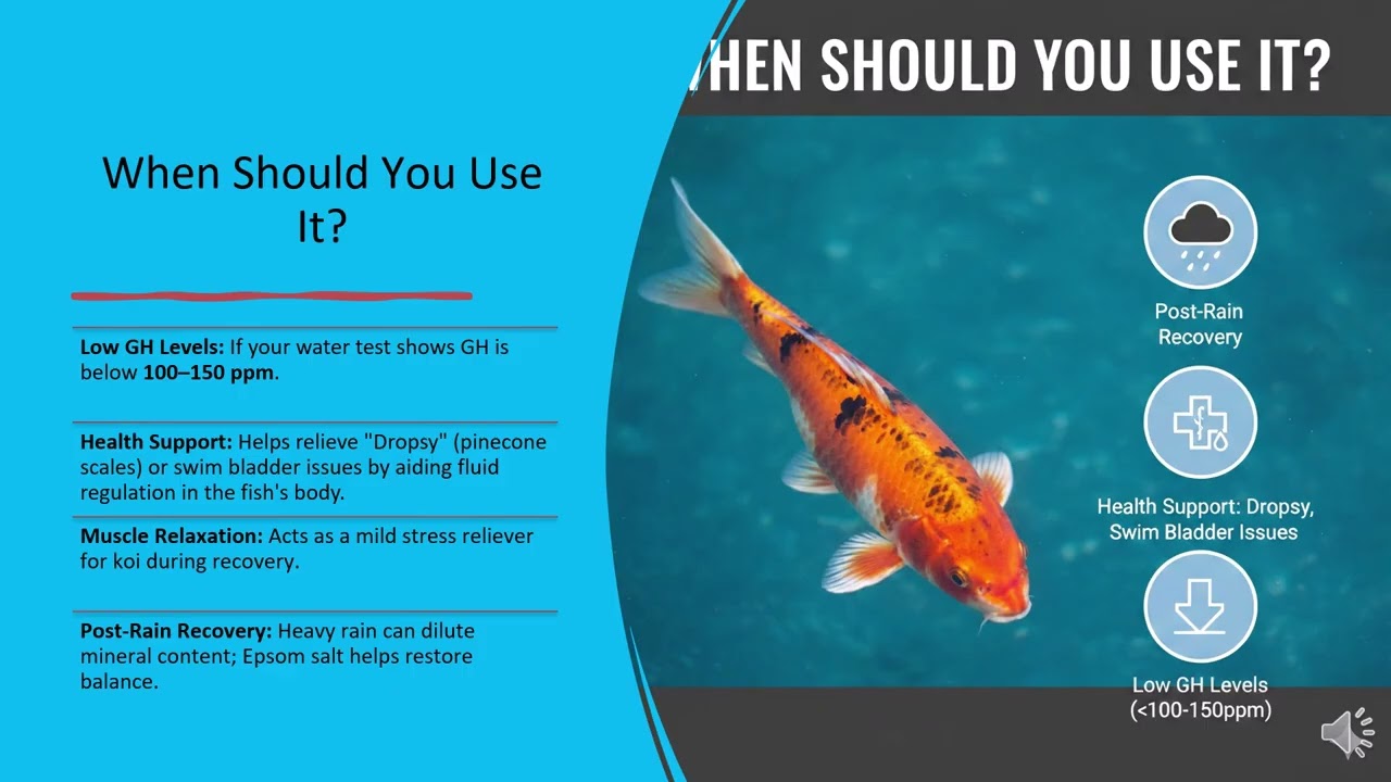 How to Use Epsom Salt in a Koi Pond: The Complete Guide