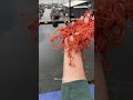 Unreal! Woman finds unique looking basket starfish in Alaska