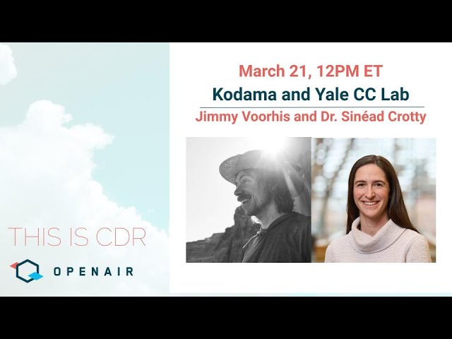 This Is CDR Ep. 64: CDR via Woody Biomass Burial with Kodama and Yale Carbon Containment Lab. episode artwork