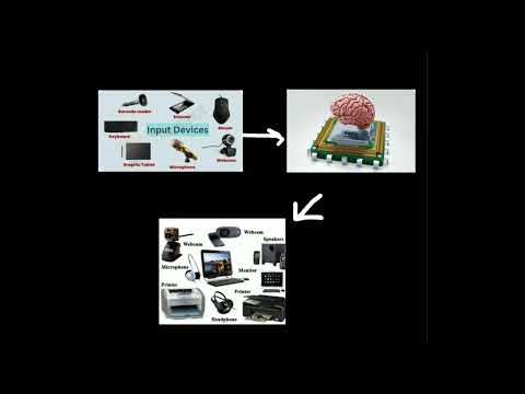 working of computer system// input , CPU ( processor), output - YouTube image.