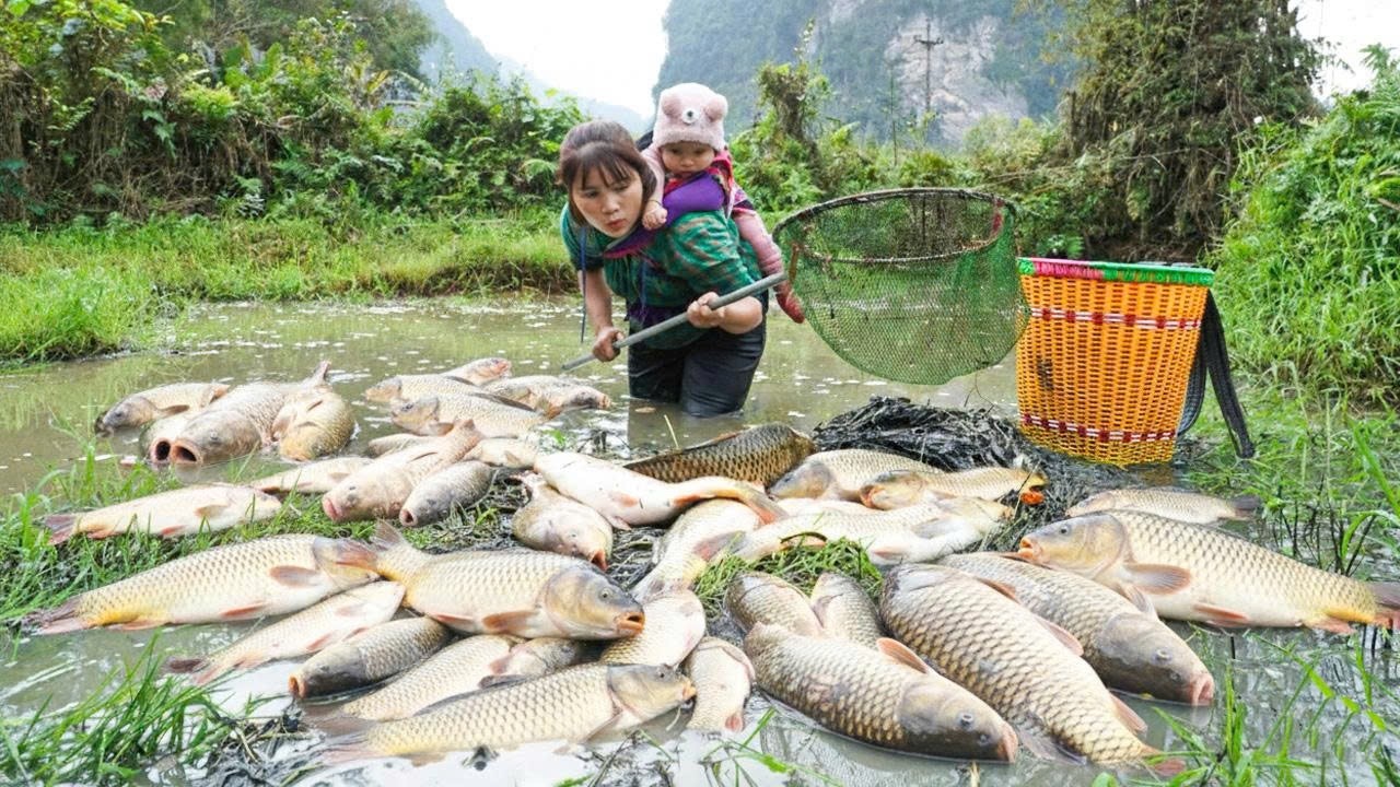 Catching giant fish by hand with my little daughter and selling them at the market - Survival Alone