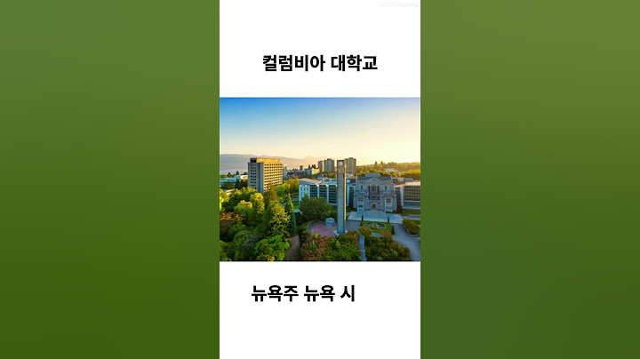 미국 명문대 아이비리그