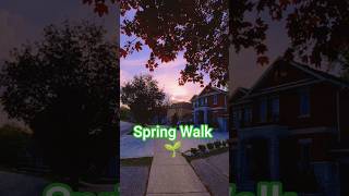 Peaceful Sunset Walk in a Beautiful Toronto Neighborhood 🍁🌅#shorts #spring #torontolife
