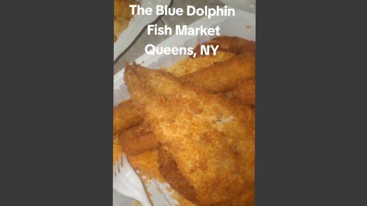 The Blue Dolphin : Queens NY 