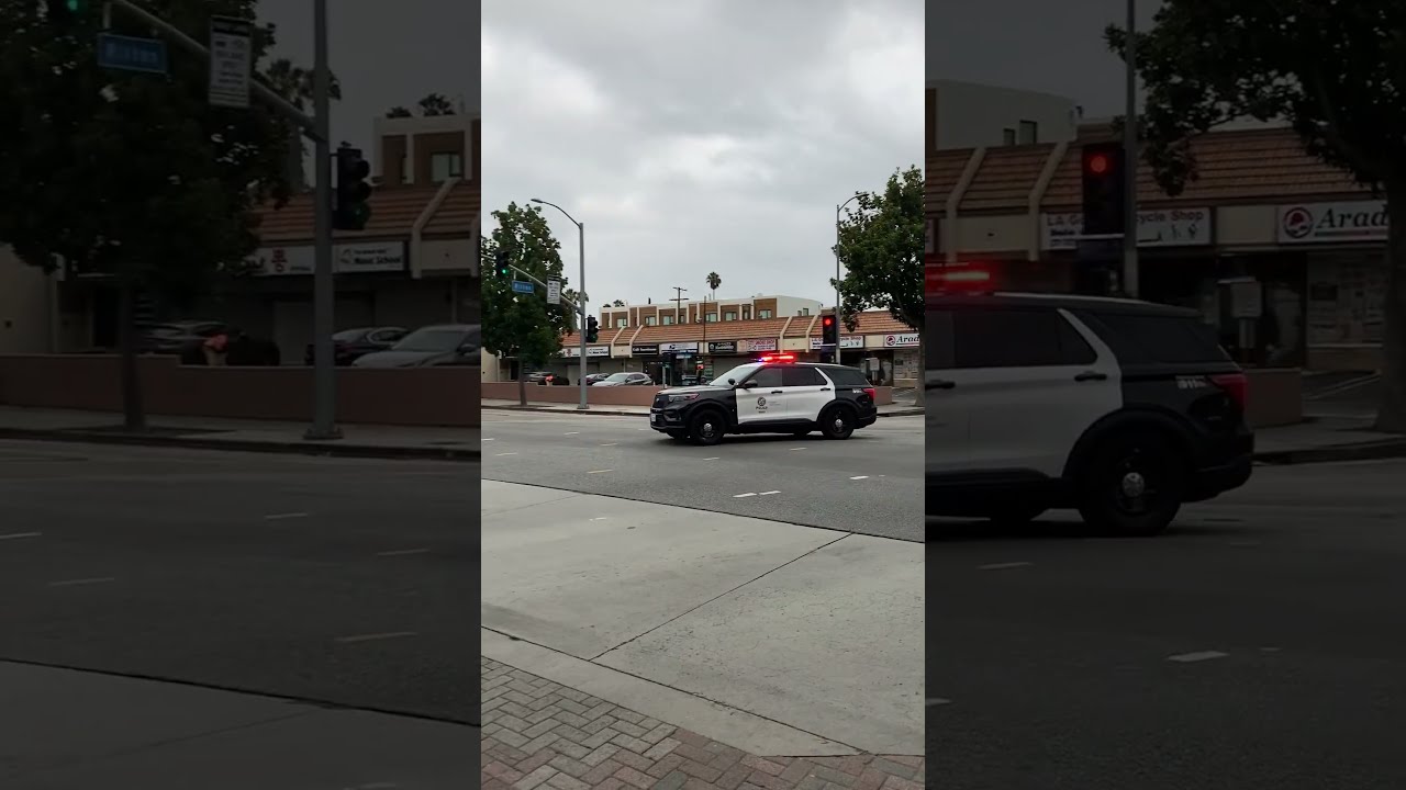 LAPD Police Sound Car Siren
