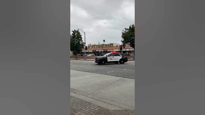LAPD Police Sound Car Siren