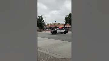 LAPD Police Sound Car Siren 