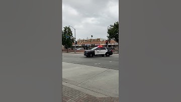 LAPD Police Sound Car Siren