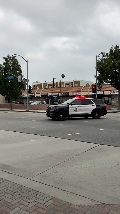LAPD Police Sound Car Siren