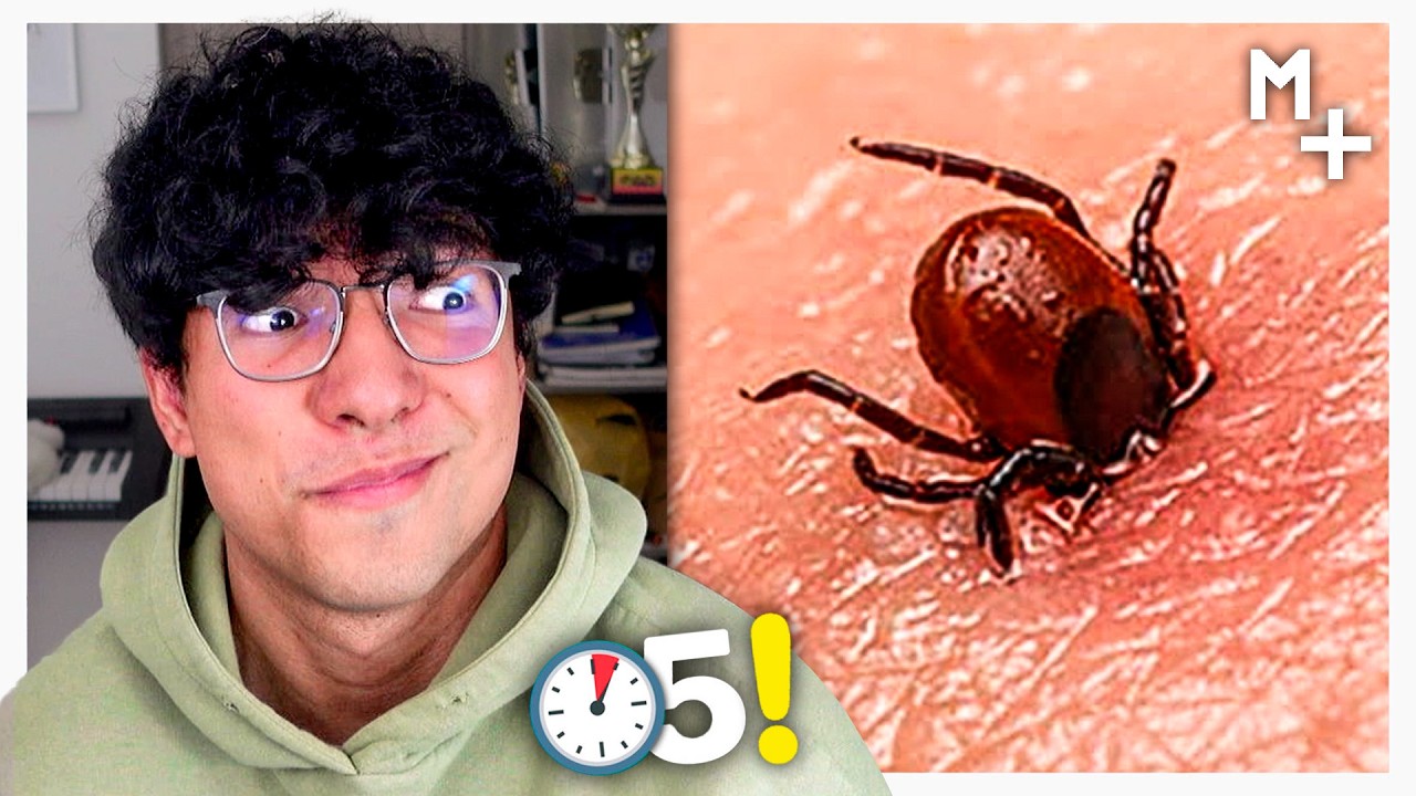 Magma Ve 50 COSAS QUE NO SABÍAS 12 😳⏰