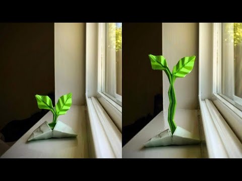 Origami growing sprout | folding tutorial - YouTube