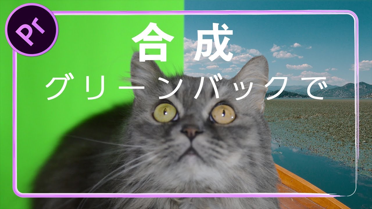 グリーンバック合成のやり方【Premiere Pro / プレミアプロ チュートリアル 】