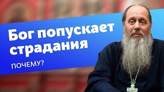 Почему Бог попускает страдания? (прот. Владимир Головин)