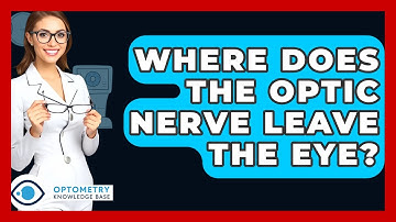 Where Does The Optic Nerve Leave The Eye? - Optometry Knowledge Base