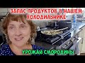 VLOG Не спит из-за колес. Готовимся к поездке.