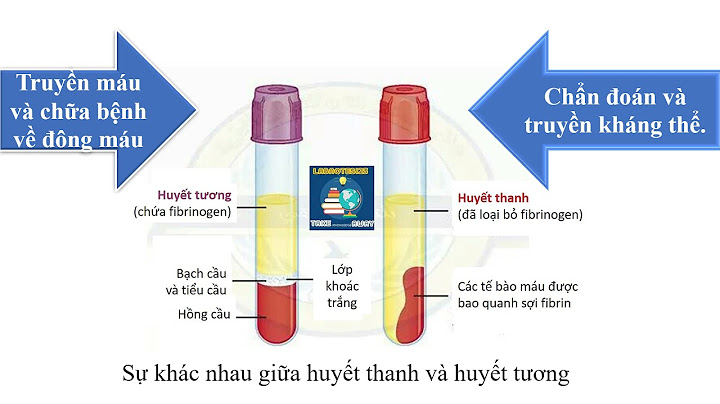 Môi trường trong của cơ thể gồm: *