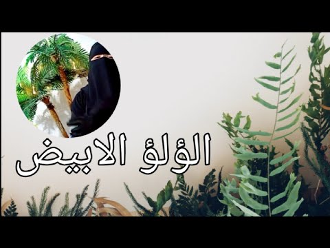 عبارات وكلمات لن يفهمها الا اصحاب العقول الراقية