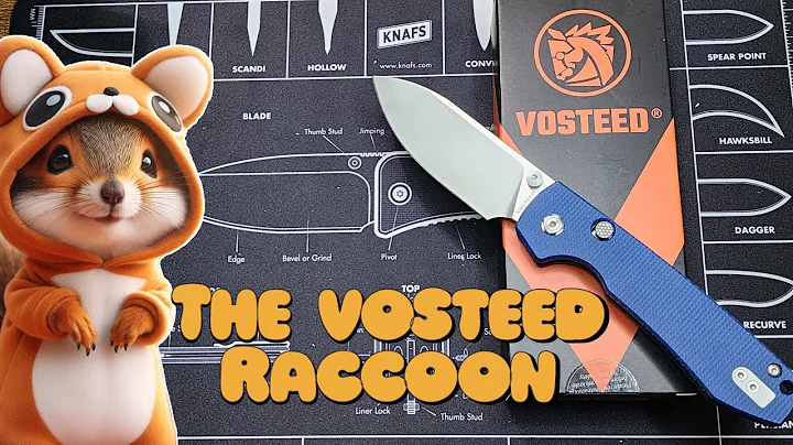Unboxing and first impressions of the Vosteed Raccoon