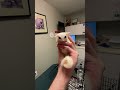 Sugar Gliders are very emotionally intelligent so its important to take care of their mental health