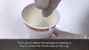 Processing coffee cup rim samples on the RapidHIT using a swab