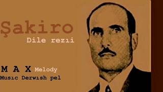 Şakiro remix dile rezil by derwish pel Resimi