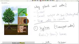 Unit 4 - Maintaining Life | Cambridge Science | Grade 8