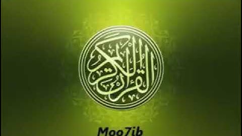 قرآن كريم / سورة الحج الشيخ عامر الكاظمي