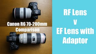 Canon R6 with the EF lens Adapter  Does it work?