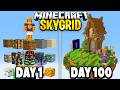 I Survived 100 Days on 1,000,000 Blocks in Minecraft