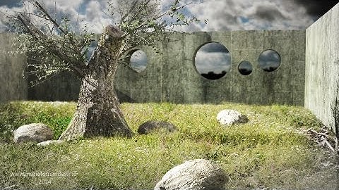 a oliveira (the olive tree) - 3d render - process stages video