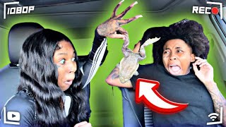THROWING A LIVE FROG 🐸 ON MY ANGRY GIRLFRIEND !!! * GONE WRONG * 😱