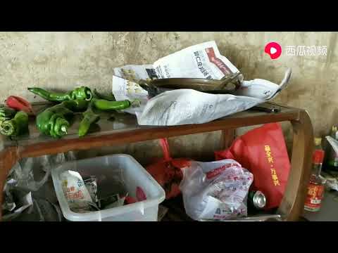 采访住桥底流浪汉，看到他们的生活条件后，阿宝感到心酸了。