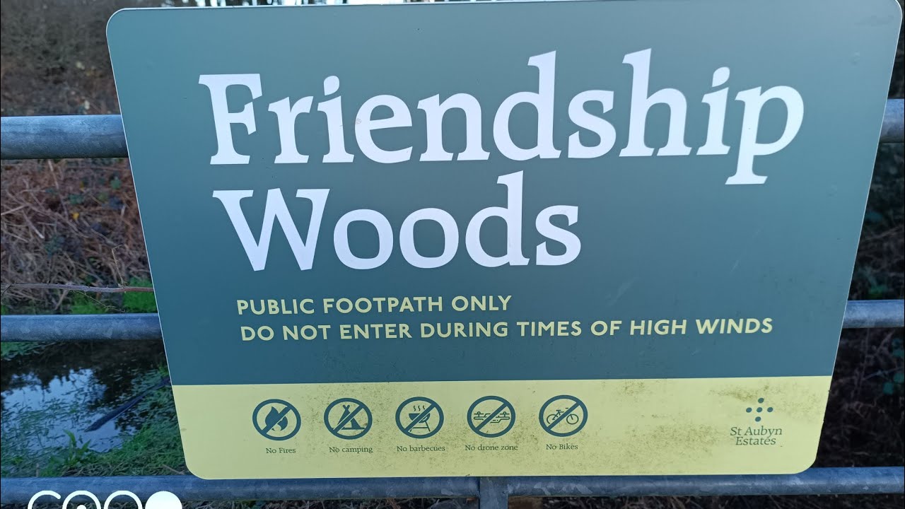 РАЗРУШЕНИЕ в ФРЕНДШИП ВУД