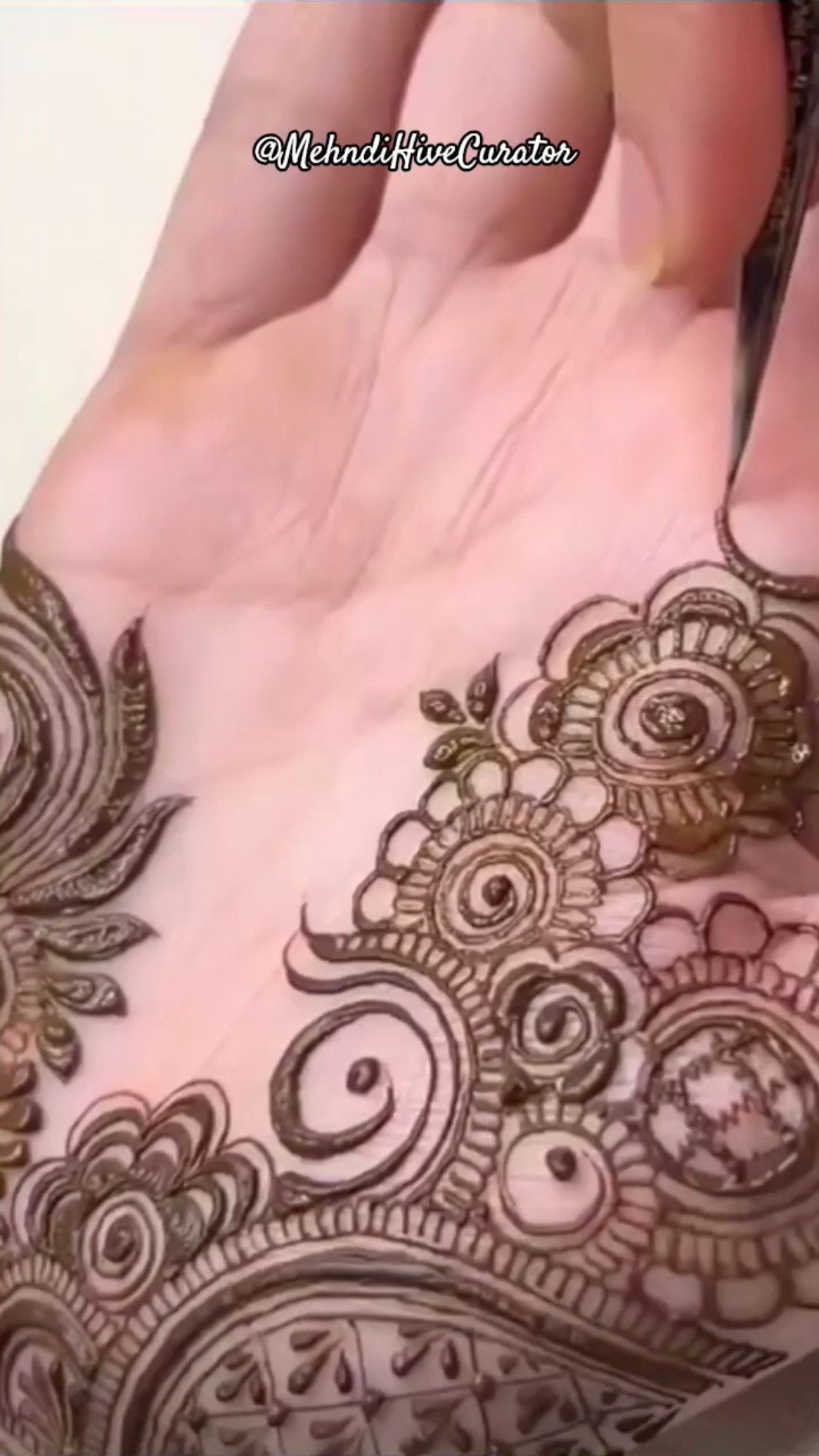 🔅मेहंदी व्हिडिओ - ShareChat