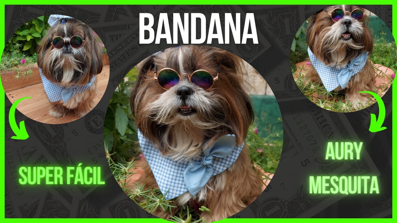 Costura Pet: Bandana super fácil 🐩🐕✂️🐾