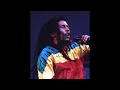 Capture de la vidéo Bob Marley - Live In Madision Square Garden 80 "Hd