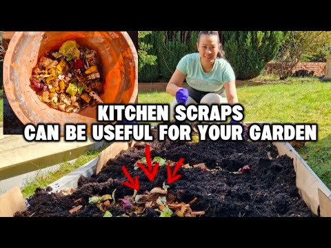THING'S YOU CAN KEEP FROM YOUR KITCHEN SCRAPS and CAN BE USEFUL FOR YOUR GARDEN I BritPinay Journey
