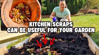 THING'S YOU CAN KEEP FROM YOUR KITCHEN SCRAPS and CAN BE USEFUL FOR YOUR GARDEN I BritPinay Journey