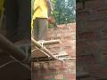 SBF এটা গাছ নেই #video #construction #viral #construction #viral #funny #video