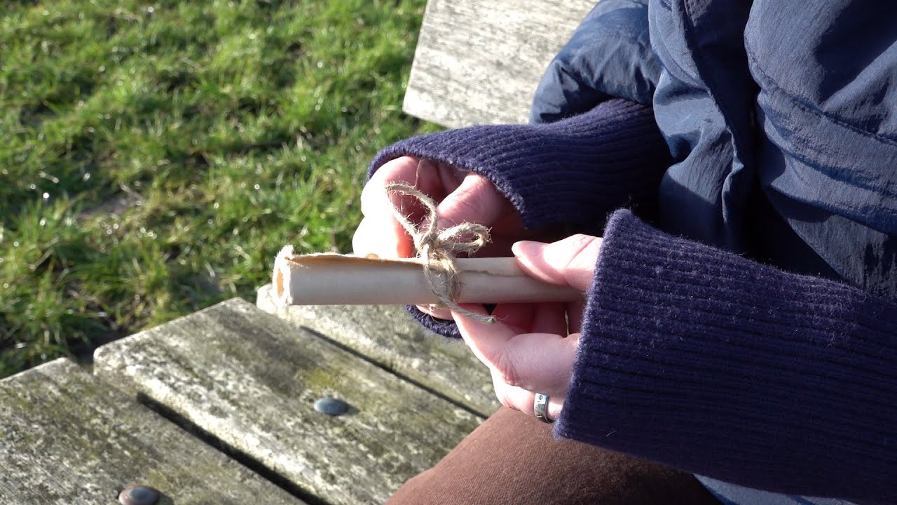 Sint Pitersjoernaal Diel 2 2026