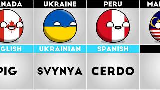 How to Say "PIG!" in Different Languages #countryballs