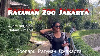 Ragunan zoo Jakarta (прогулка по зоопарку)