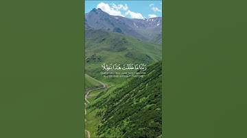 الآية 191 من سورة آل عمران بصوت الشيخ وديع اليمني